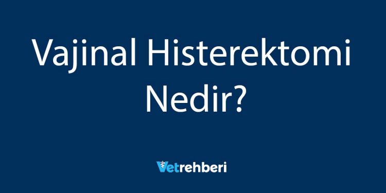 Vajinal Histerektomi Nedir?