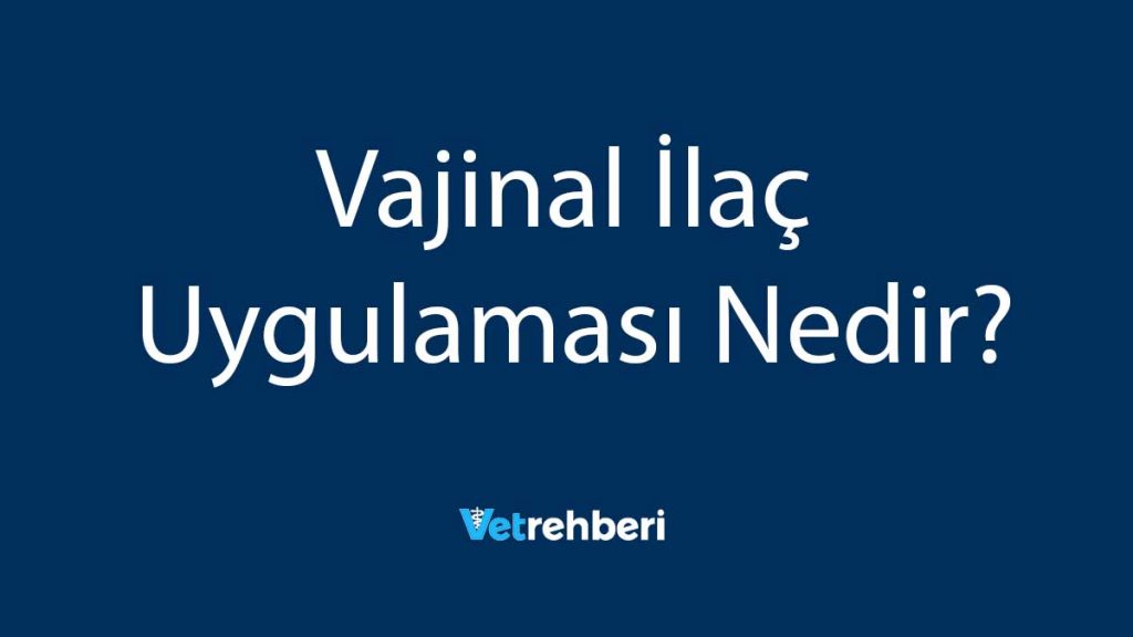 Vajinal İlaç Uygulaması Nedir?