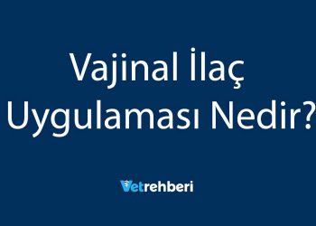 Vajinal İlaç Uygulaması Nedir?