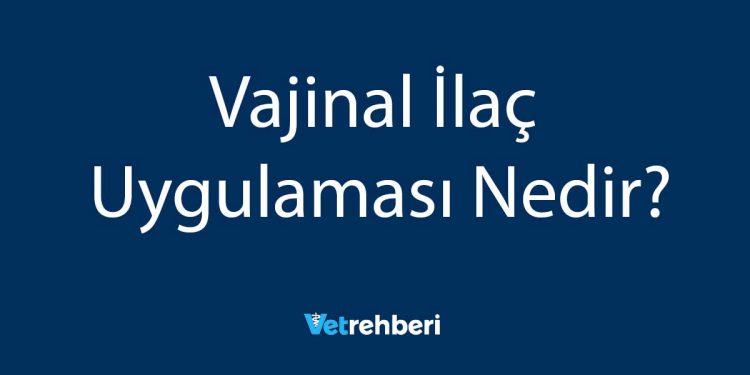 Vajinal İlaç Uygulaması Nedir?