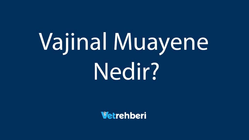 Vajinal Muayene Nedir?