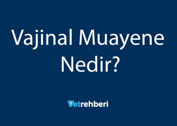 Vajinal Muayene Nedir?