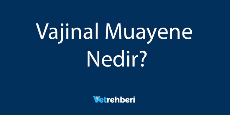 Vajinal Muayene Nedir?