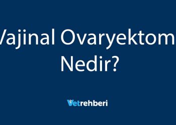 Vajinal Ovaryektomi Nedir?