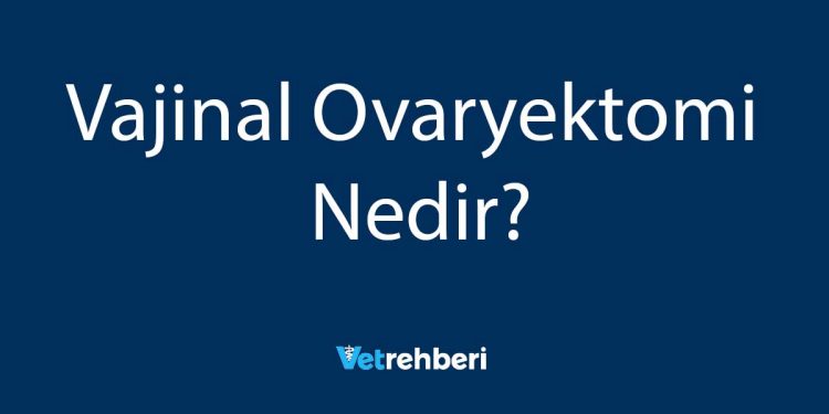 Vajinal Ovaryektomi Nedir?