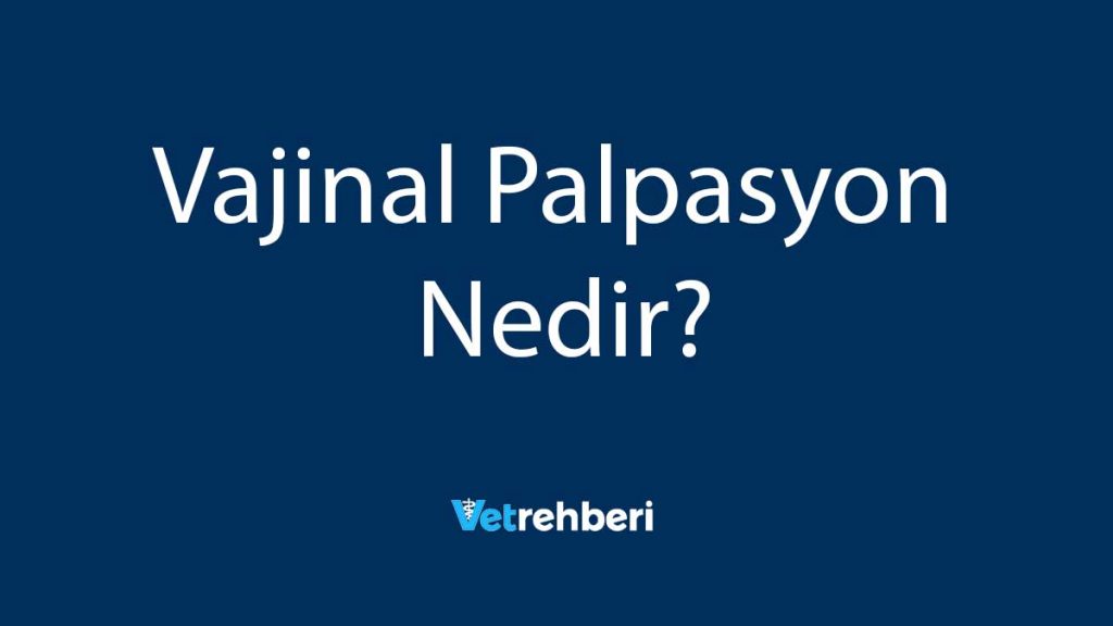 Vajinal Palpasyon Nedir?