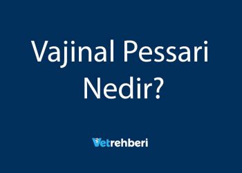 Vajinal Pessari Nedir?