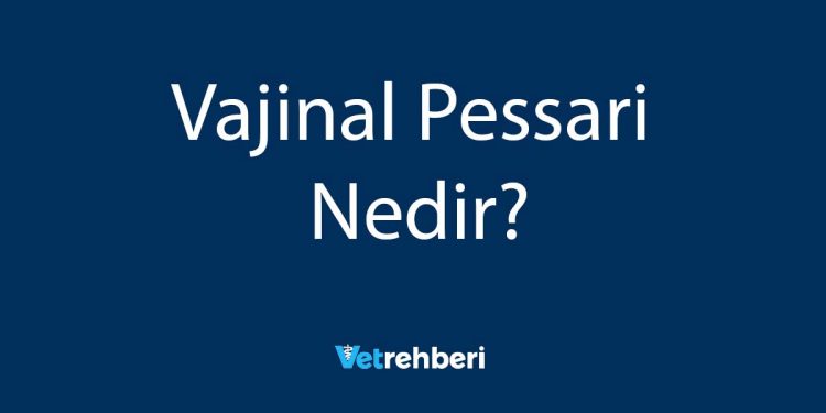 Vajinal Pessari Nedir?