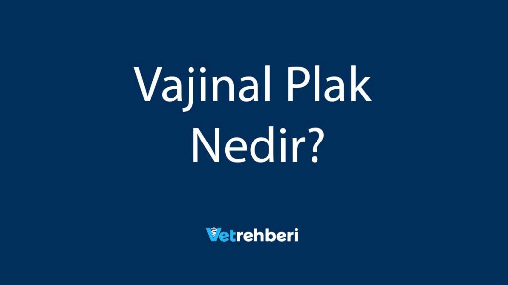 Vajinal Plak Nedir?