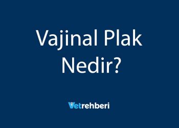 Vajinal Plak Nedir?