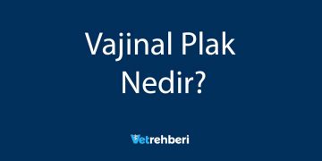 Vajinal Plak Nedir?