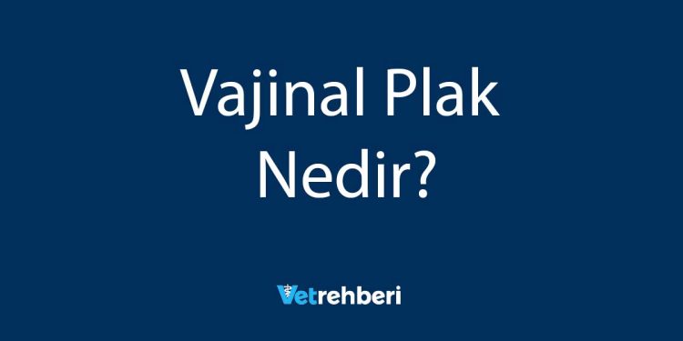 Vajinal Plak Nedir?