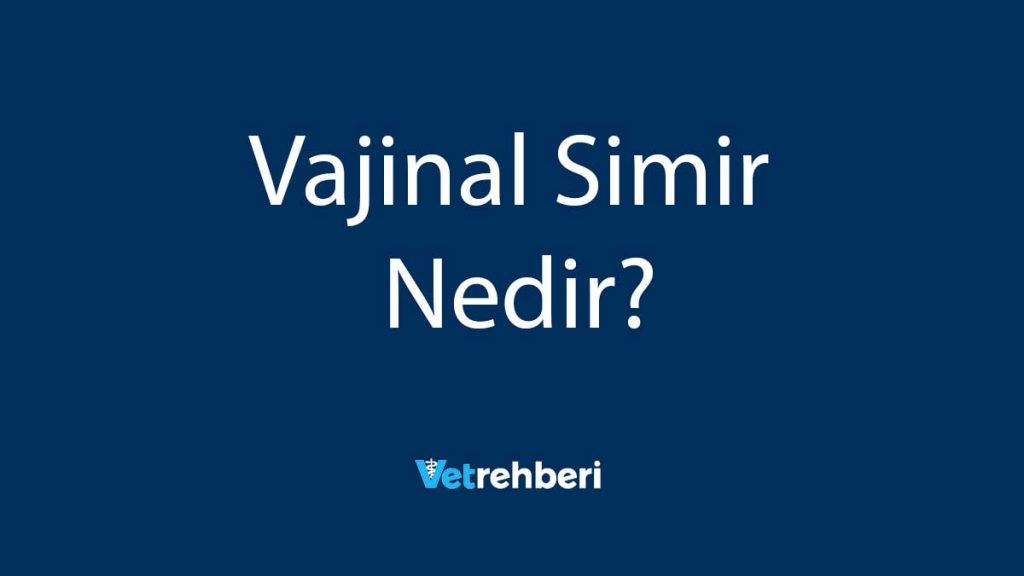 Vajinal Simir Nedir?