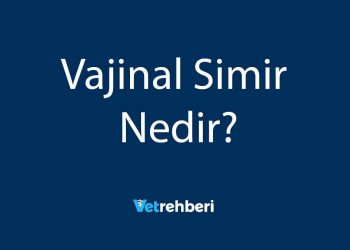 Vajinal Simir Nedir?