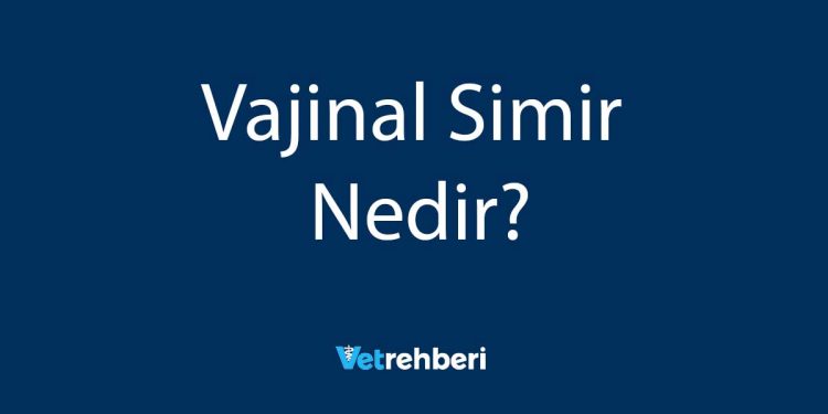 Vajinal Simir Nedir?