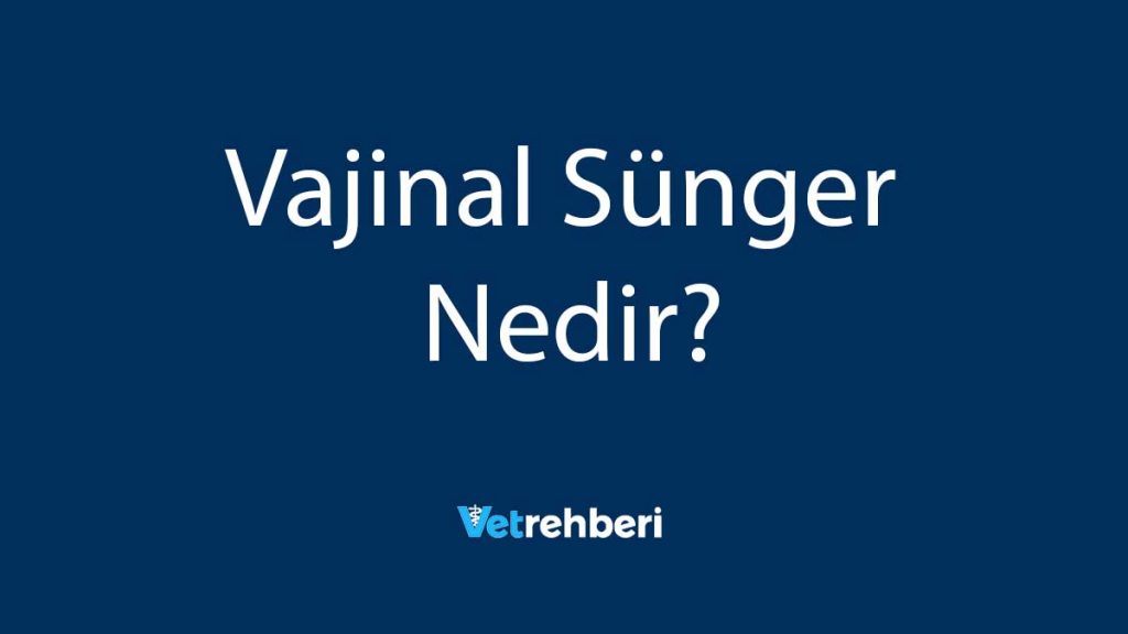 Vajinal Sünger Nedir?