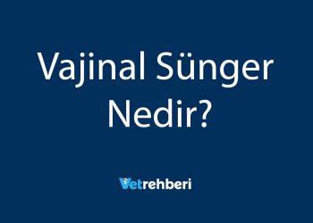 Vajinal Sünger Nedir?