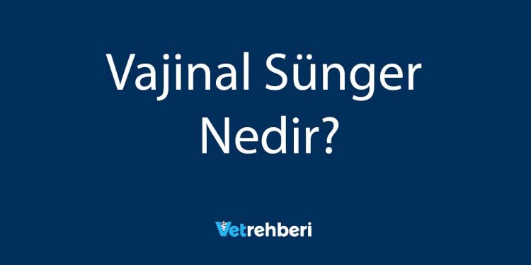 Vajinal Sünger Nedir?