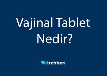 Vajinal Tablet Nedir?