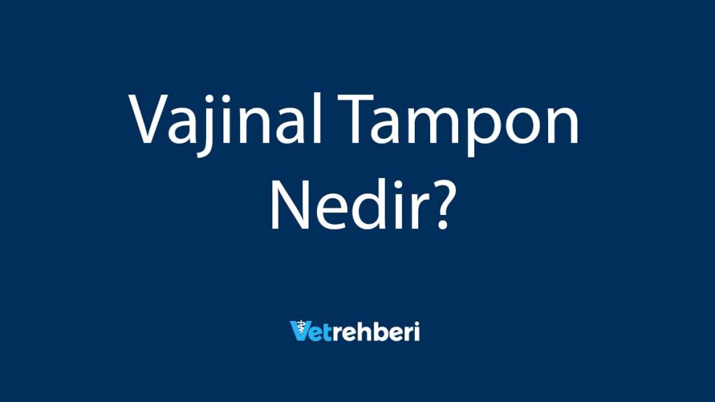 Vajinal Tampon Nedir?