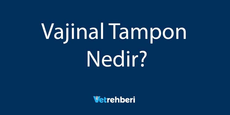 Vajinal Tampon Nedir?