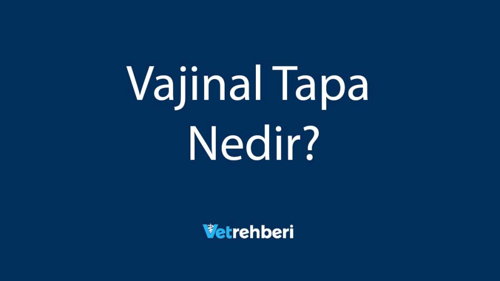 Vajinal Tapa Nedir?