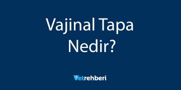 Vajinal Tapa Nedir?