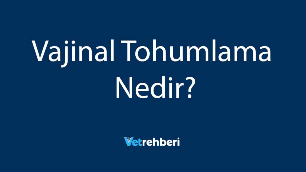 Vajinal Tohumlama Nedir?