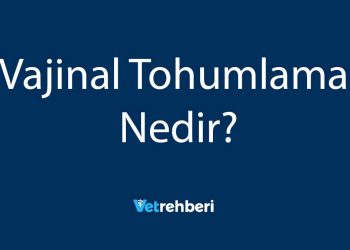 Vajinal Tohumlama Nedir?