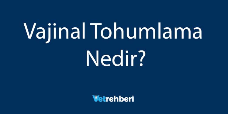 Vajinal Tohumlama Nedir?