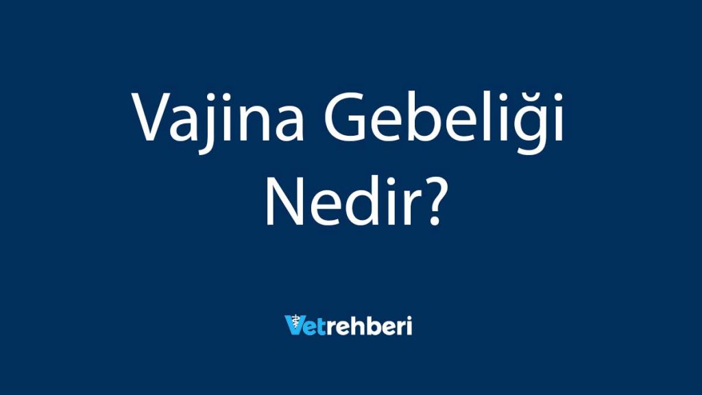 Vajina Gebeliği Nedir?