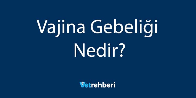 Vajina Gebeliği Nedir?