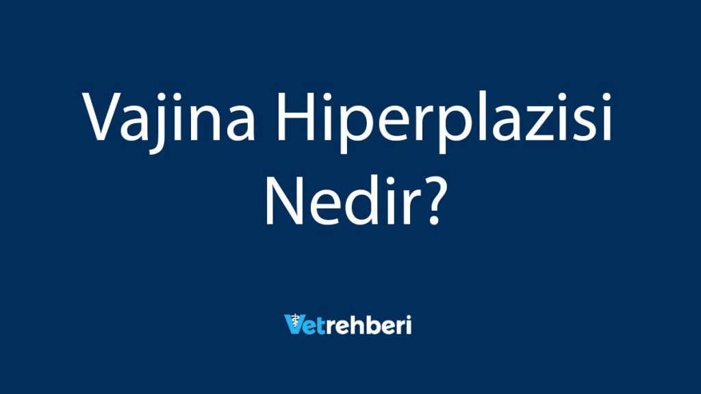 Vajina Hiperplazisi Nedir?