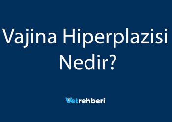 Vajina Hiperplazisi Nedir?