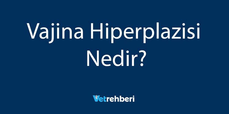 Vajina Hiperplazisi Nedir?