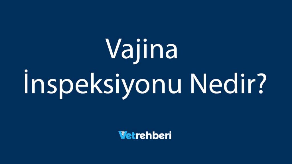 Vajina İnspeksiyonu Nedir?