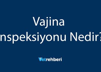 Vajina İnspeksiyonu Nedir?