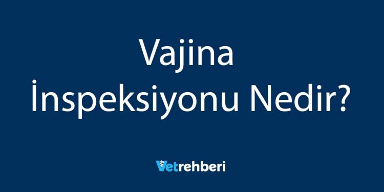 Vajina İnspeksiyonu Nedir?