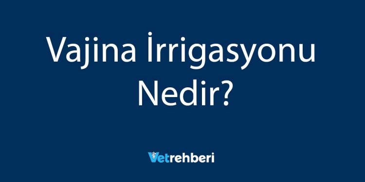 Vajina İrrigasyonu Nedir?