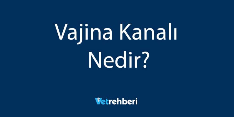 Vajina Kanalı Nedir?