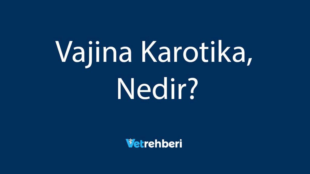 Vajina Karotika Nedir?