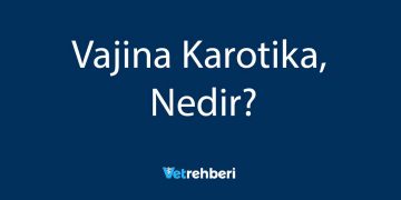 Vajina Karotika Nedir?