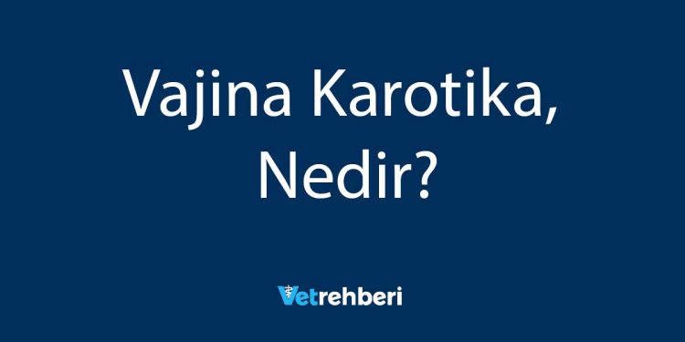 Vajina Karotika Nedir?