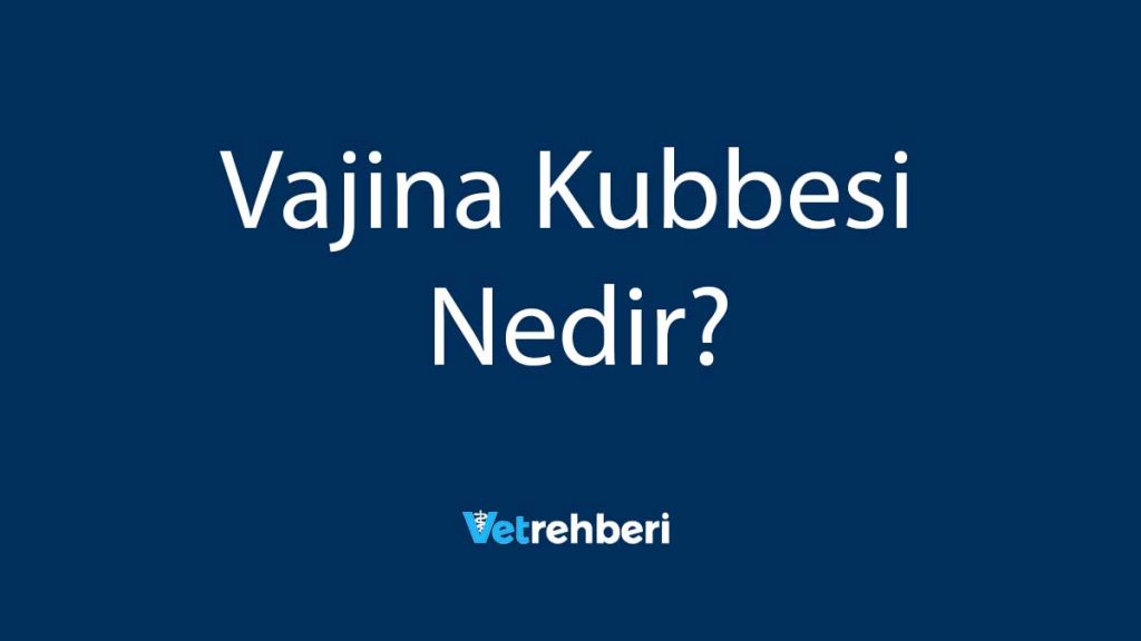 Vajina Kubbesi Nedir?