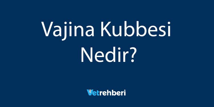 Vajina Kubbesi Nedir?