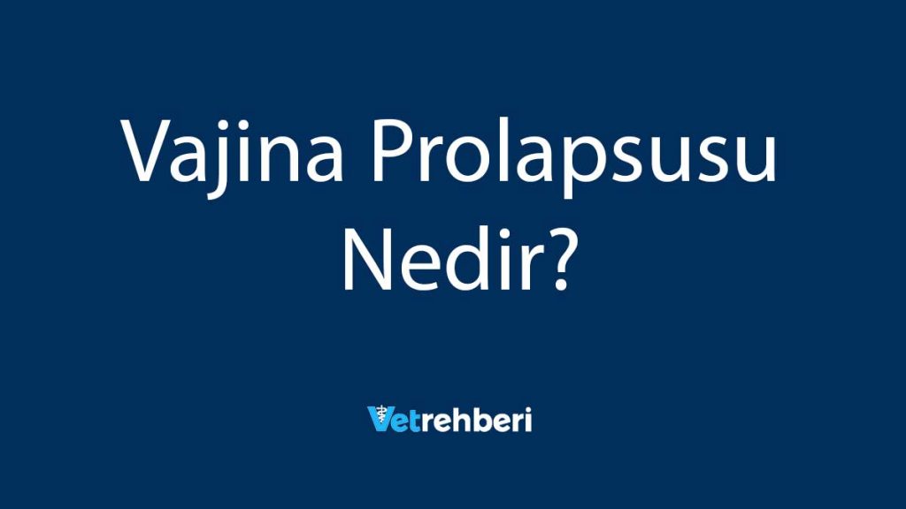 Vajina Prolapsusu Nedir?