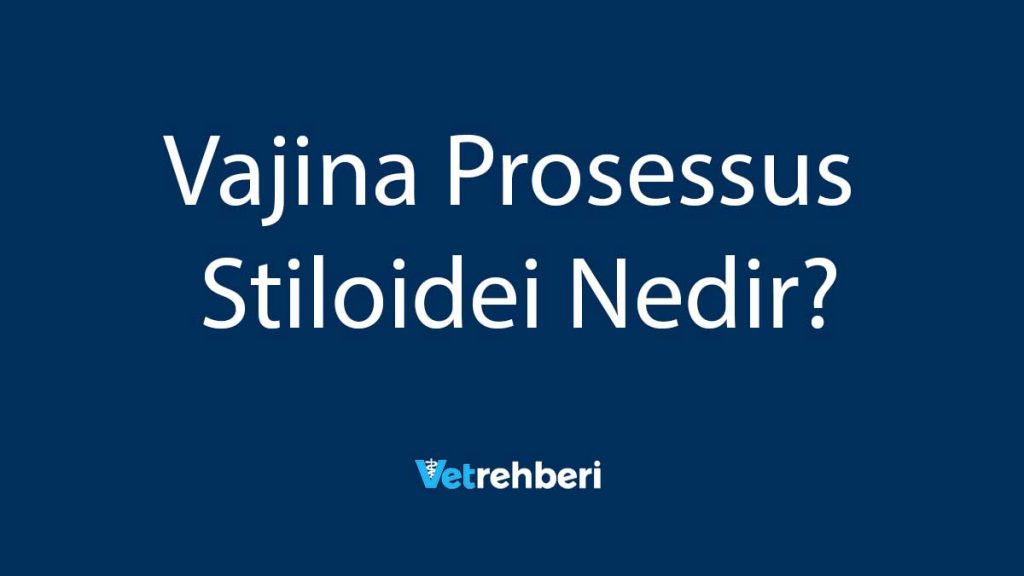 Vajina Prosessus Stiloidei Nedir?