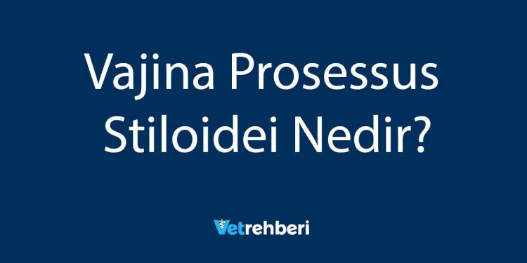 Vajina Prosessus Stiloidei Nedir?