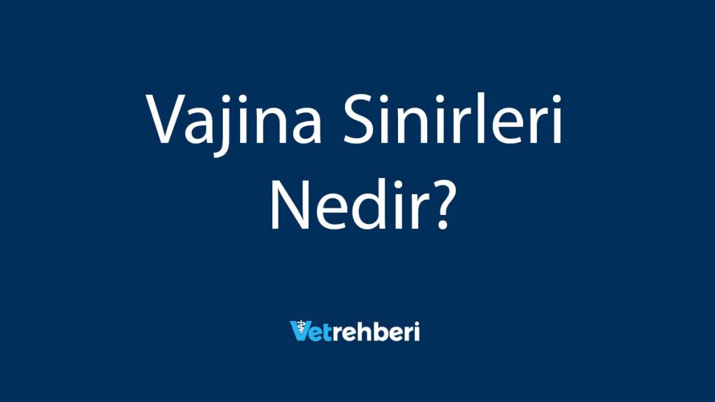 Vajina Sinirleri Nedir?