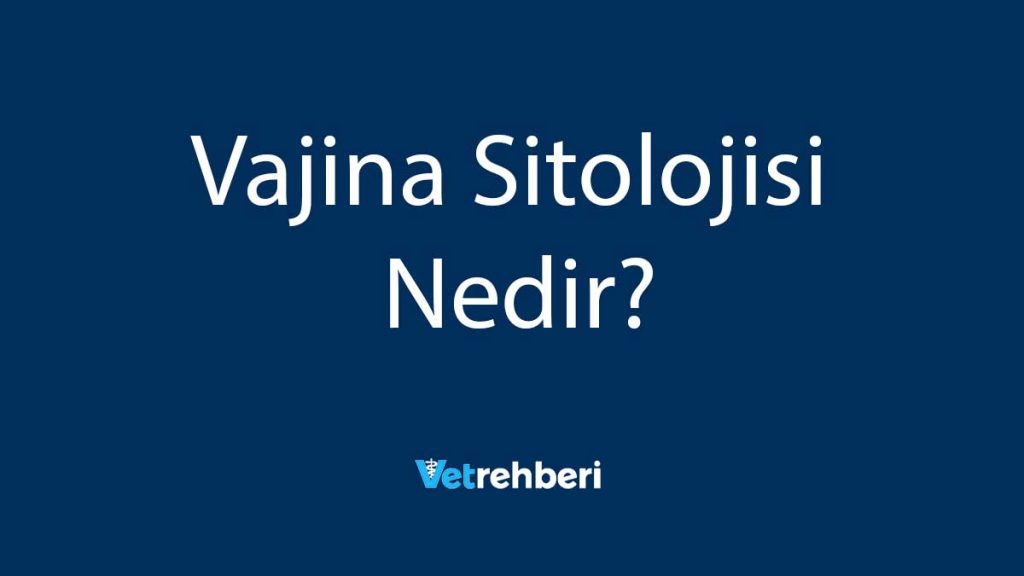 Vajina Sitolojisi Nedir?